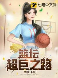 篮坛超巨之路全本txt