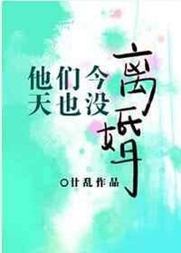 他们今天也没离婚TXT