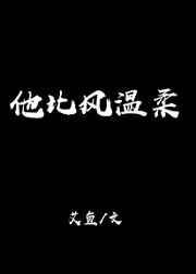 他比风更温柔