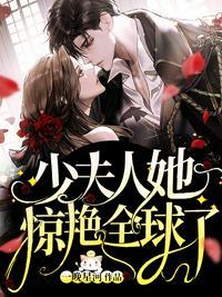 少夫人她惊艳全球了TXT