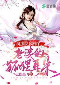洞房夜摸到了老婆的狐狸耳朵txt