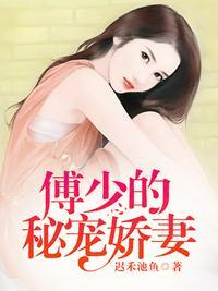 傅少的秘宠娇妻沐苒免费阅读