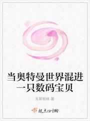 奥特数码