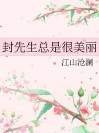 封先生总是很美丽2在线阅读