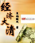清朝经济方面