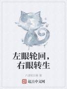 左眼轮回右眼转生无防盗