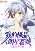 我的极品大明星老婆李师师