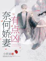 奈何娇妻有点凶 小欧迪