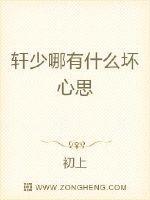 轩少很明显就是个挂