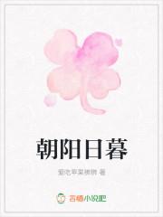 如朝阳于你我在日暮之临