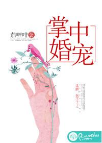 暖婚掌中娇完整版