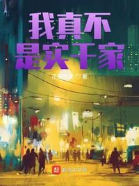 我真不是实干家烂尾