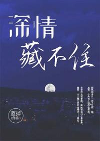 深情藏不住全文阅读辛甘