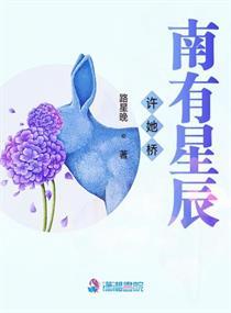 许她桥南有星辰txt