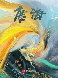 唐海峰个人资料