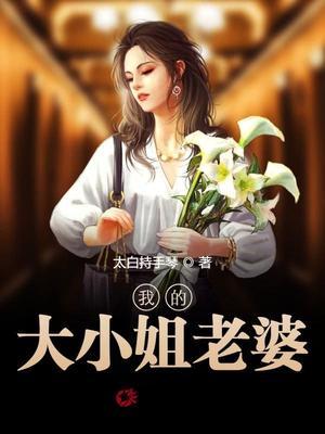 我的大小姐老婆全文免费