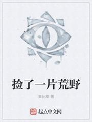 捡了一片荒野到底写什么
