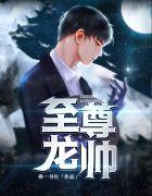 至尊龙帅叶辰易如雪免费阅读正版