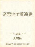 帝君他又在孵蛋免费阅读