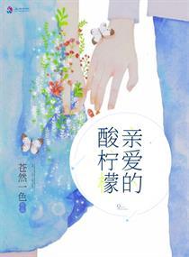 亲爱的柠檬先生连续剧