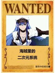海贼类系统