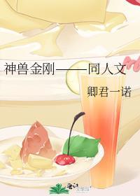神兽金刚安装