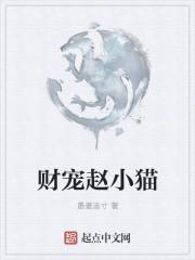 小猫招财乐1.0.8