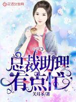 总裁 助理h