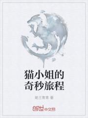 猫小姐故事