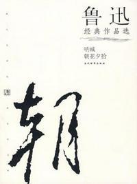 鲁迅作品选读后感600字