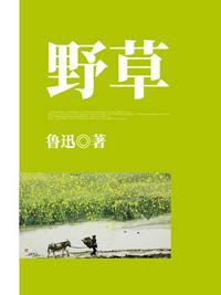 野草助手 官网