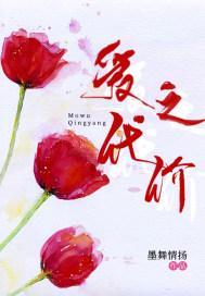 cctv12爱的代价