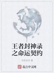 王者封神录阵容