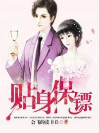 贴身保镖第一季百度百科