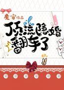 顶流隐婚翻车了无弹窗