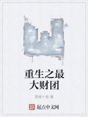 重生之最大财团罗辰星