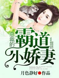 总裁的霸道小娇妻陆靖远免费阅读