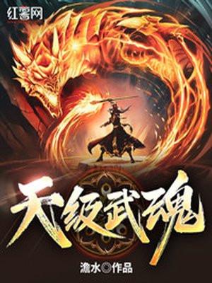 武魂天赋领域