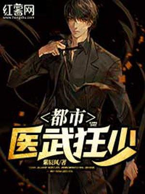都市医武狂少TXT