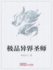 极品高手在异界
