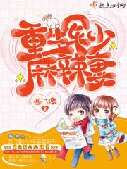 重生军少麻辣妻洛宁