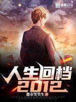 人生回档2012年