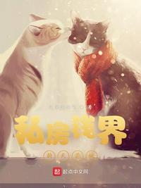 私房钱剧情介绍电视猫