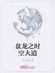 盘龙大陆
