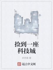 捡到一座科技城txt免费