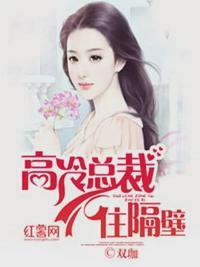 抖音白子涵贺长麟全文免费阅读