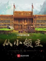 从小领主开始的霸权之路