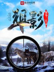 狙影风暴