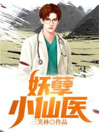 陆言陈岚完整版|阿