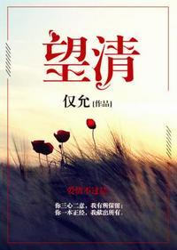 望清阙